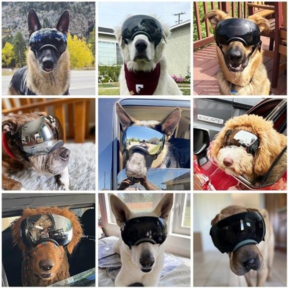 Dog Goggles Large Breed Anti-UV Dog Sunglasses for Medium-Large Dogs Anti-Fog - Picture 2 of 7
